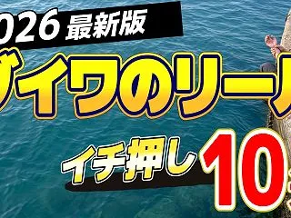 【2026年版】ダイワのリールおすすめ人…