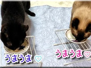 銀のシネマティックレコード参
