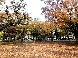 街中パントリー in 大通西6丁目 20…