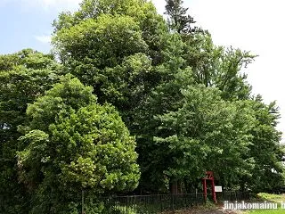 稲荷神社 加須市道目