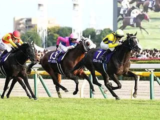 【出馬表】 第174回天皇賞（秋）G1