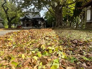大人のハロウィン大抽選会 スタート 能代…