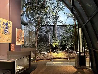 松戸市博物館、昭和の団地まるごと再現