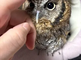こんばんは🍓🍓🍓🍓🍓