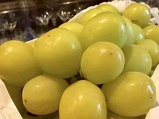 ◼︎フルーツカクテル：シャインマスカット…