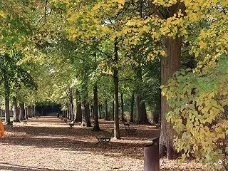 ドイツ旅行記 ビュルツブルク２