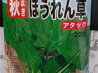 ほうれん草の種を買った