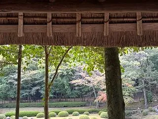 【他でもない自分自身がみていること】