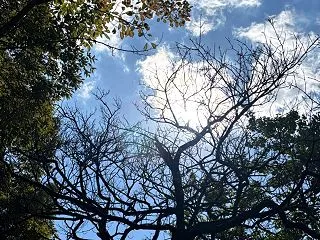 【10月29日 今日の介護現場を楽しくす…