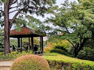 日本庭園で転びました