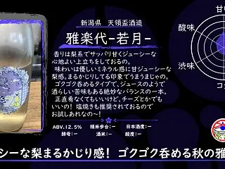 【木曜日の季節物】雅楽代-若月-【FUK…