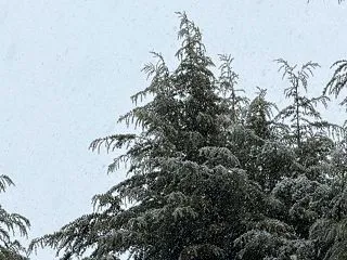 ＜26.03.10＞今日の空を撮ってみた