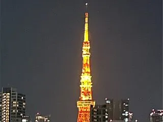 引っ越し直前、最後まで私を苦しめるG
