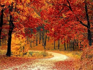 【開運のカギ】１１月の数秘と新月・満月情…