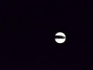 短歌『寒いですねの』