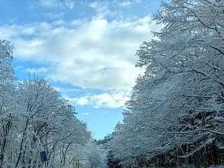 雪
