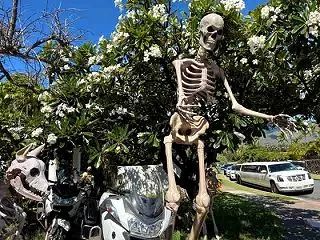 もうハロウィン！クリスマス！