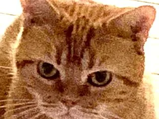 ⑥みんなに伝えなきゃ
