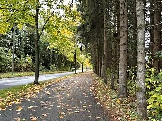 「わかったつもりの十二大従星」その6｜わ…