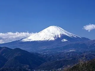 アトピーの正体【最終版】⑩痒みは生きるた…