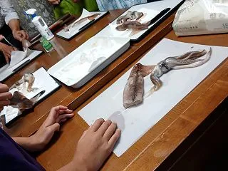 【福岡】イカの捌き方レッスン初心者さんも…