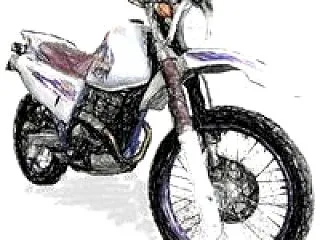 ハイビスカスの冬支度