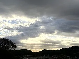 また少しズボンがキツくなった