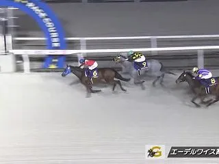 【エーデルワイス賞2026】結果・動画/…