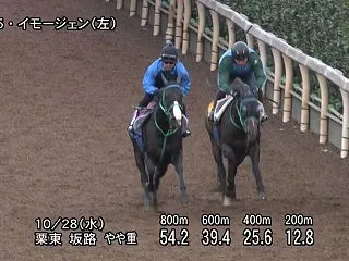 【ファンタジーステークス2026】追い切…