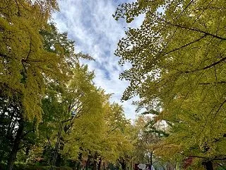 冬へ一歩