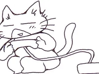 8、9の原稿。全米猫の日、ZINE。ブロ…