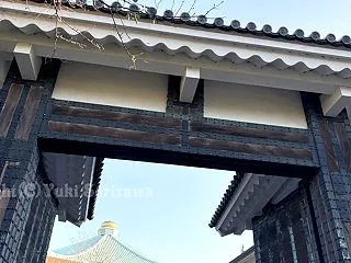 【鑑賞】武道館で円形２days