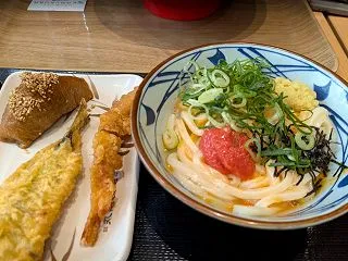 食べ物日記：日本チェーン店巡り