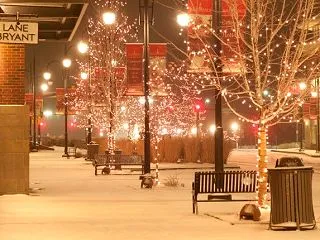 雪虫を目撃してから２週間、雪が降りました