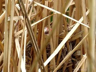 隠れ家２