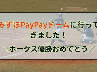 みずほPayPayドームに行ってきました…