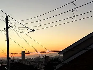 歯科検診