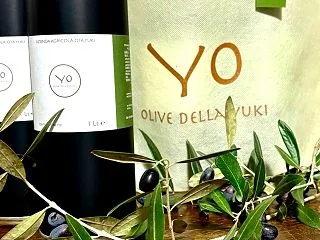 今年の搾りたてオリーブオイル