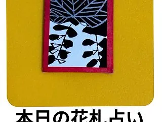 本日の花札占い