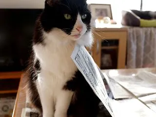 新聞乗り と 膝乗り