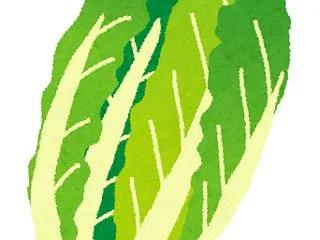 【食の安全】中国産野菜と外食・お惣菜の現…