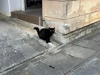 本日のベストスリー１０月２８日