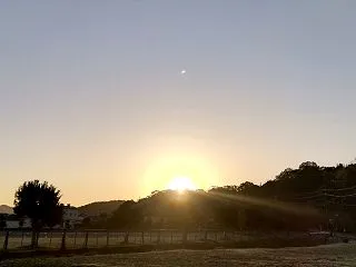おはようございます
