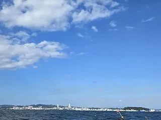 太刀魚、たちうお、タチウオ