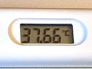 発症5日目。微熱は続くものの、症状は軽く…