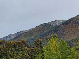 身に沁みます