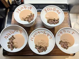 アルトン家族記念日ごはん