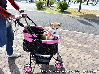 マンホールサミット2026へ♪ vol.…