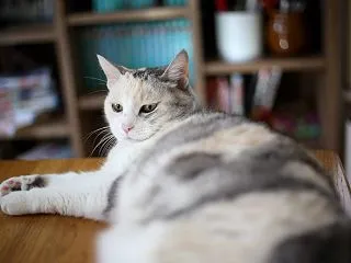 危篤ってこんな感じなのか？