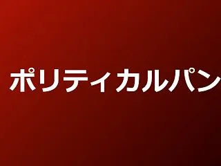 【ネタバレ注意】ドラマ『ポリティカルパン…